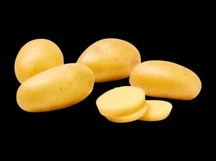 Schweizer Kartoffeln festkochend